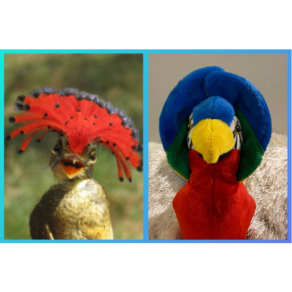 RARE Jabber the Parrot Ty Beanie Baby w/ GRAMMATICAL ERROR! Excellent Condition! - Picture 2 of 16